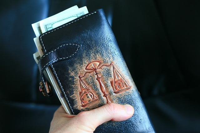 peněženka v ruce